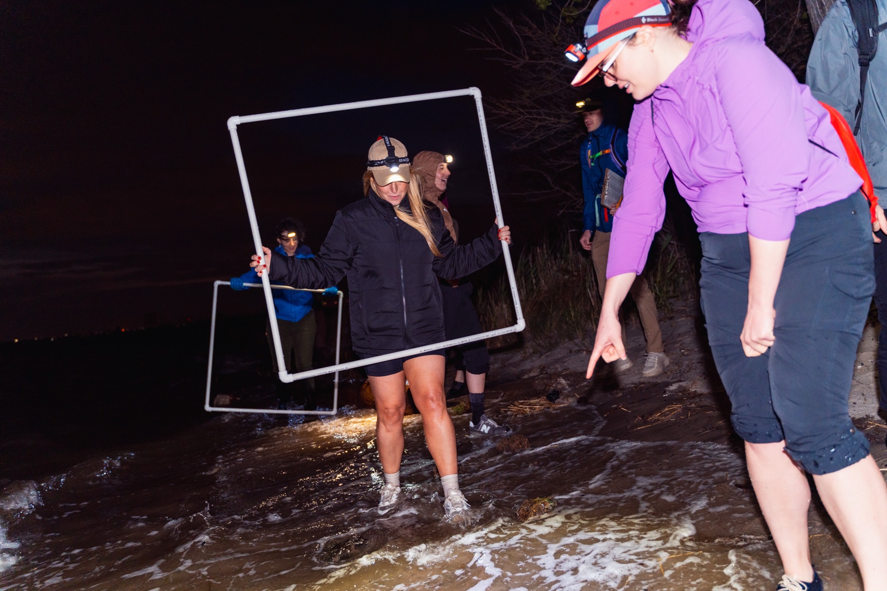 Volunteers in headlamps standing in shallow water at night, holding a large square sampling frame.