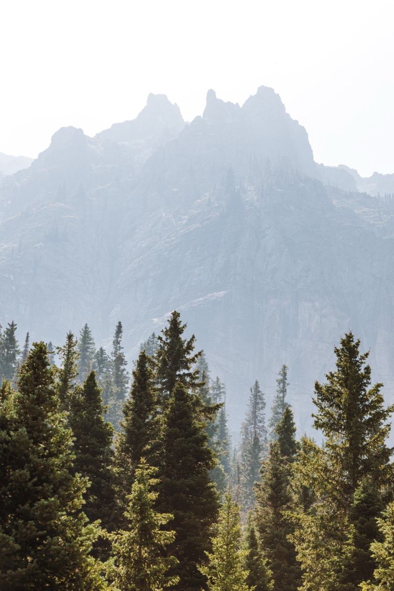 Granite spires rising through haze above a stand of conifers in the Rocky Mountains