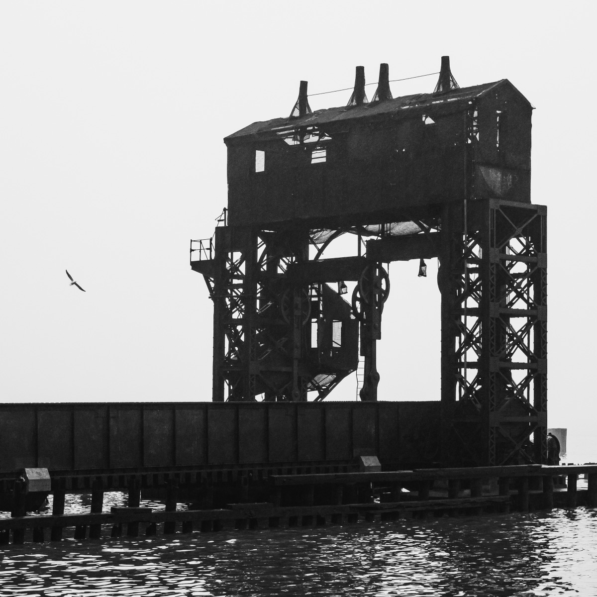Gull passing the derelict railway transfer bridge at Grand Central Terminal's old float yard, in black and white