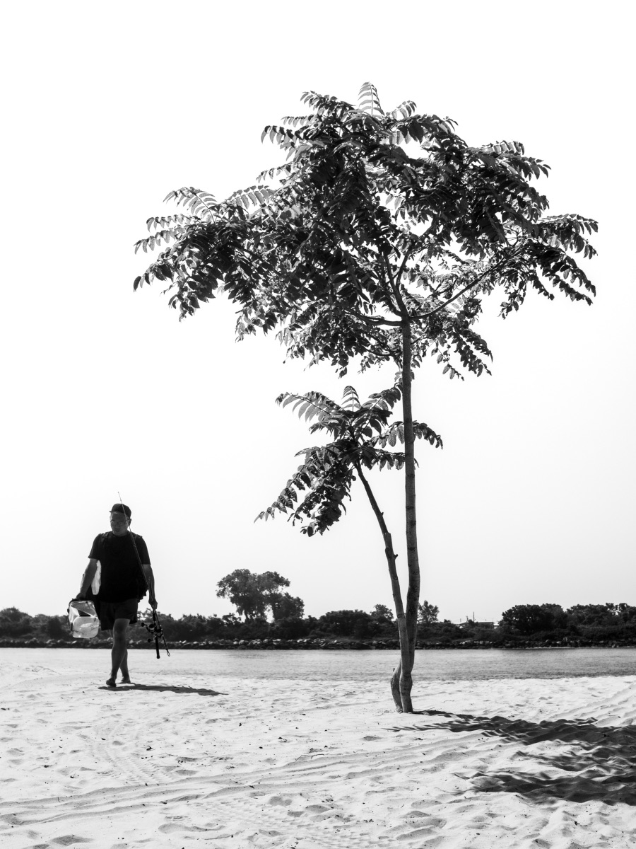A man carrying a camera bag walking past a lone tree on an empty beach, in black and white