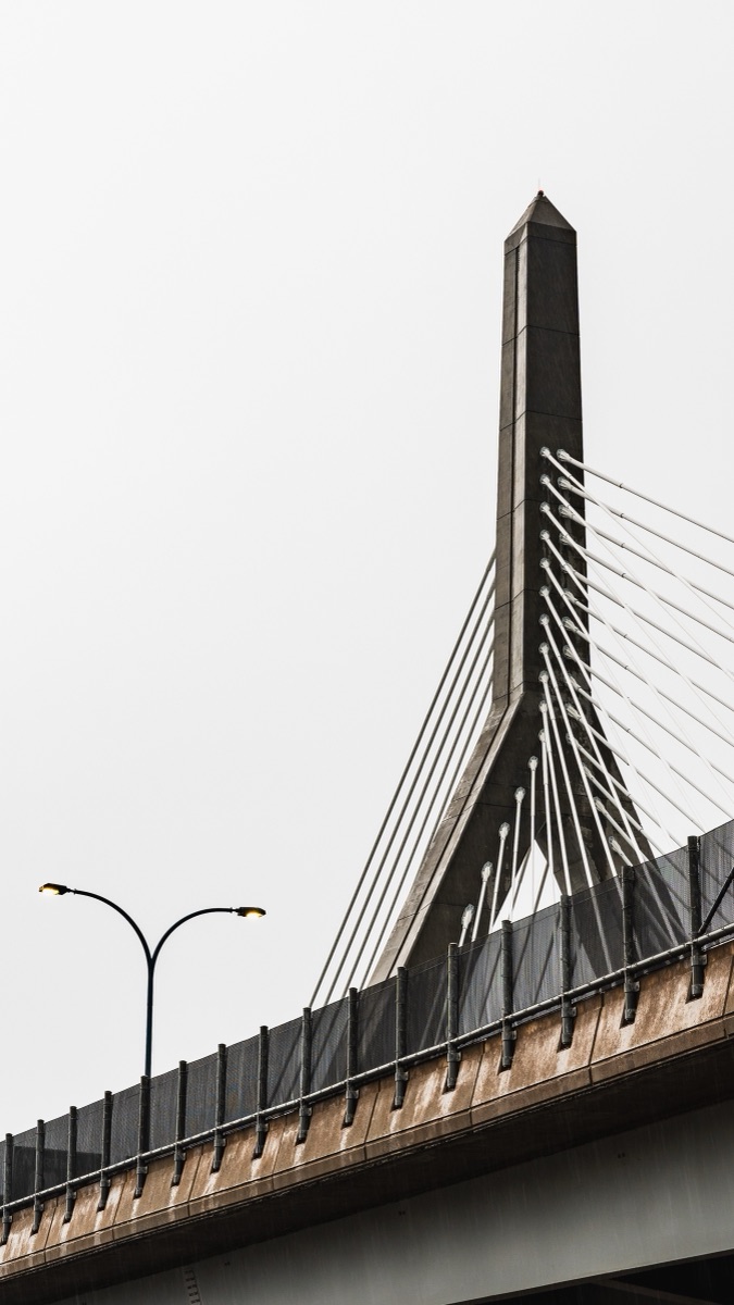 The tower and cable stays of the Leonard P. Zakim Bridge against a blank sky, Boston